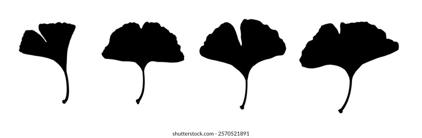 set of ginkgo leaf silhouettes - vector illustration