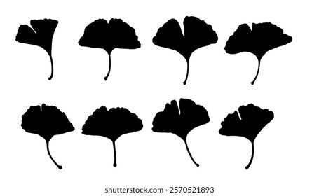 set of ginkgo leaf silhouettes - vector illustration