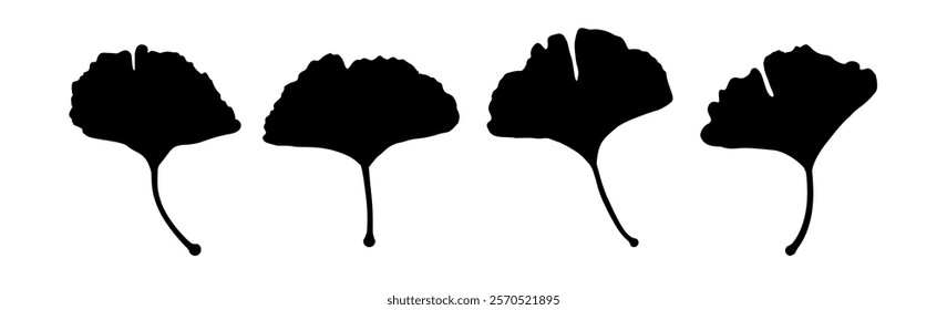 set of ginkgo leaf silhouettes - vector illustration