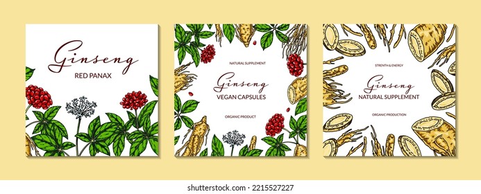 Set of ginseng colorful square designs. Hand drawn botanical vector illustration in sketch style. Can be used for packaging, label, badge. Herbal medicine background
