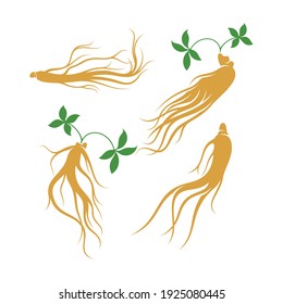 Set of ginseng logo vector illustration design template