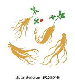 Set of ginseng logo vector illustration design template