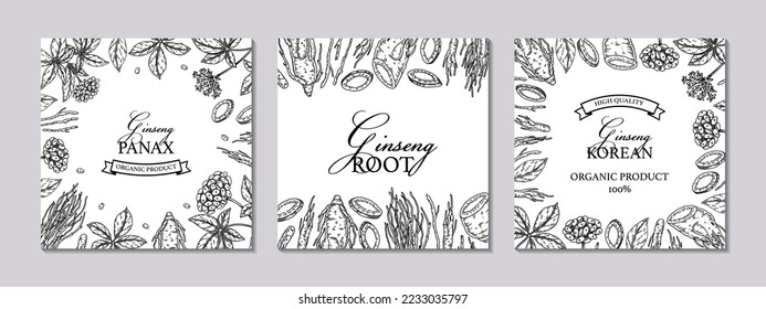 Set of ginseng square designs. Hand drawn botanical vector illustration in sketch style. Can be used for packaging, label, badge. Herbal medicine background