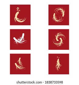Set Ginseng vector icon illustration design template