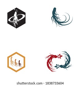 Establecer plantilla de diseño de ilustración de icono de vector Ginseng