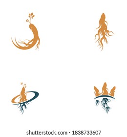 Set Ginseng vector icon illustration design template