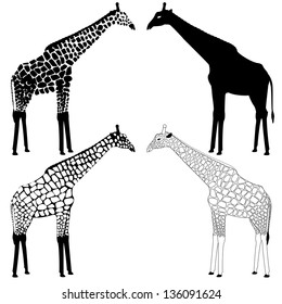 Set of giraffe black&white spotted silhouettes