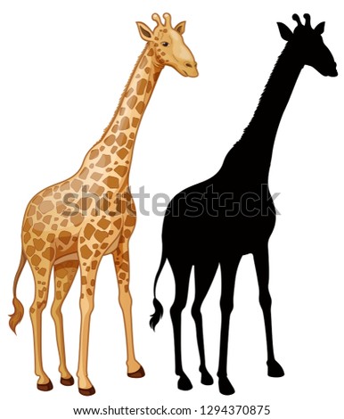 Similar – Image, Stock Photo Giraffe Silhouette