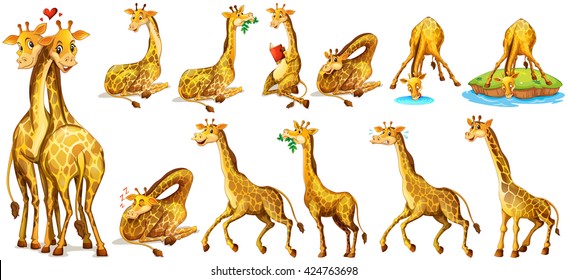 Set of giraffe in different actions illustration