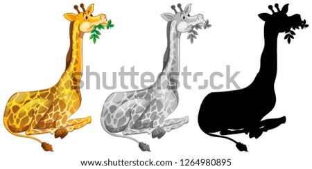 Similar – Image, Stock Photo Giraffe Silhouette