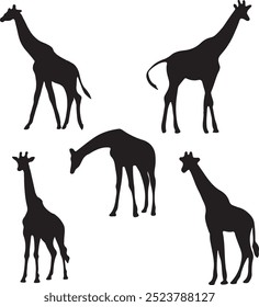 Set of giraffe silhouette designs