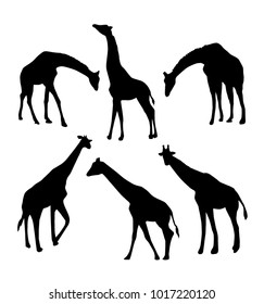 Set of giraffe silhouettes