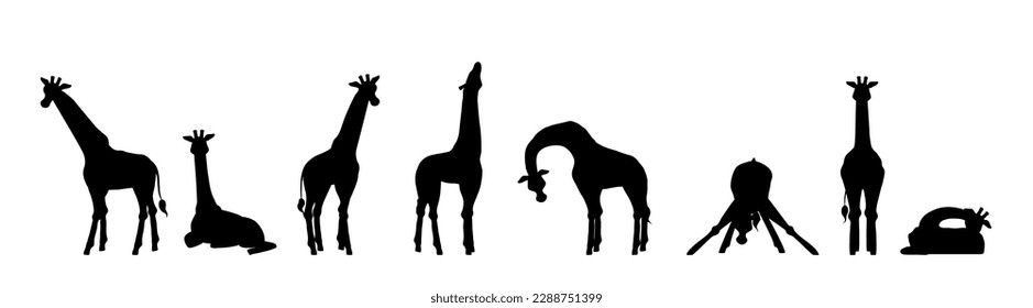 Set of giraffe silhouettes in different poses flat style, vector illustration isolated on white background. Tall African animal with long neck, design elements collection