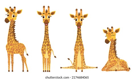 Set of giraffes in different poses, standing, sitting, sleeping. Vector illustration for designs, prints and patterns.