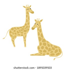 Set giraffes isolated on white background. Cute character sits and full-length. Safari animals in pattern spots. Doodle vector illustration.