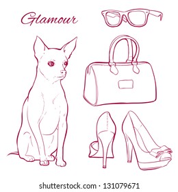 Set in the glamorous and fashionable elements, dogs, shoes, sunglasses and handbags