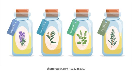 Set of glass bottles with essential oils. Orange, eucalyptycus, peppermint, tea tree oils. Label, sticker. Vector illustration isolated on white background.