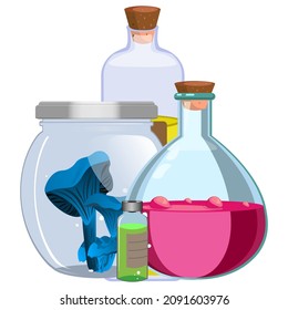 A set of glass bottles, vessels, jars of potion, elixir. Potions, magic mushrooms in vessels for magic. Vector illustration