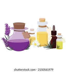 conjunto de botellas cosméticas de vidrio con aceite y etiquetas, pino, lavanda, aceite aromático chamomile, vector