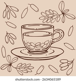 Set with glass cup tea, barberry. Hand drawn vector illustration in outline style.