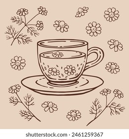 Set con taza de té de vidrio, manzanilla. Ilustración vectorial dibujada a mano en estilo de contorno.