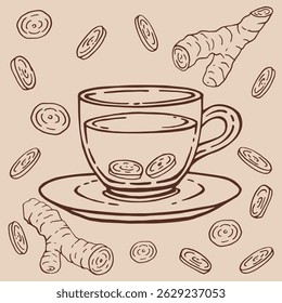Set with glass cup tea, ginger. Hand drawn vector illustration in outline style.