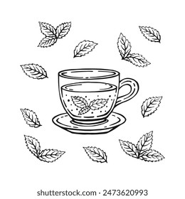 Set with glass cup tea, mint leaves. Hand drawn vector illustration in outline style.