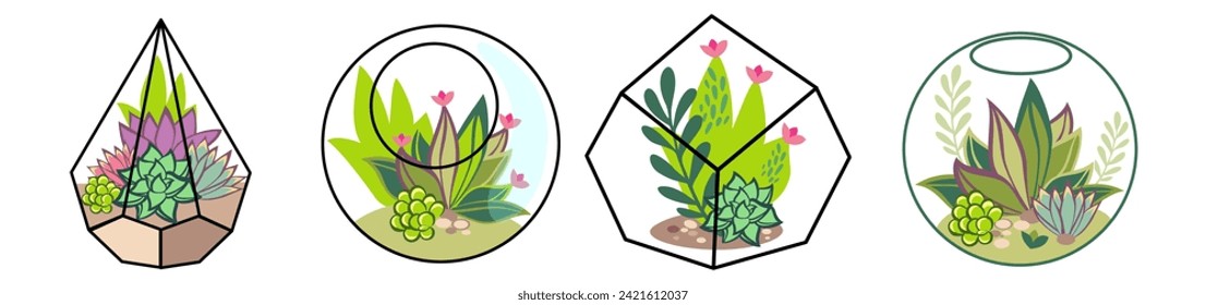 Set of Glass Florarium Vases with Succulent Plants, Small Gardens with Miniature Succulent. Floral terrarium. Home Indoor Diy Containers of Geometric Shapes for Growing Flowers. Cartoon Vector