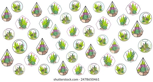 Set of Glass Florarium Vases with Succulent Plants, Small Gardens with Miniature Succulent. Floral terrarium. Home Indoor Diy Containers of Geometric Shapes for Growing Flowers. Cartoon Vector