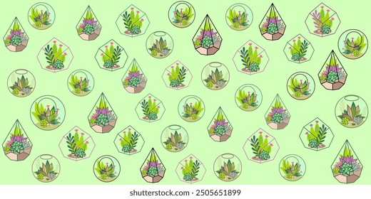 Set of Glass Florarium Vases with Succulent Plants, Small Gardens with Miniature Succulent. Floral terrarium. Home Indoor Diy Containers of Geometric Shapes for Growing Flowers. Cartoon Vector