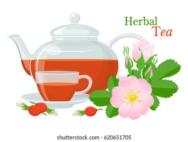 A set of glass teapot with herbal tea, cups and saucer, leaves and flowers of dog rose with buds. Color vector isolated.