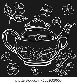 Set with glass teapot, jasmine. Hand drawn vector illustration in outline style.