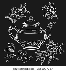 Set with glass teapot, sea buckthorn. Hand drawn vector illustration in outline style.