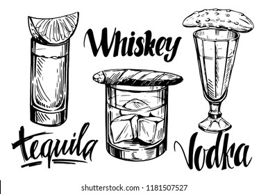 Set of glasses with alcohol drinks. Tequila, whiskey, vodka. Hand drawn sketch converted to vector