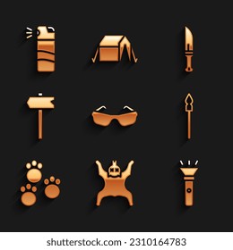 Set Glasses, Bear skin, Flashlight, Medieval spear, Paw print, Road traffic sign, Hunter knife and Pepper spray icon. Vector