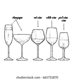 A set of glasses for different spirits. Glasses for champagne, red and white wine and port wine. Vector illustration....
