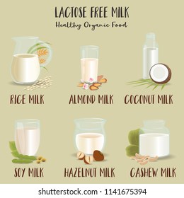 Set of Glasses with lactose-free milk. The vegetarian product, flat design. Almond-, rice-, coconut-, cashew-, hazelnuts-, soy milk. Vector illustration