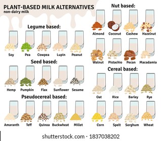 Set of glasses with plant-based milk. Vegan milk types infographic. Almond, soy, rice, coconut, cashew, hazelnut, oat, flax, walnut, hemp, pea milk. Milk alternatives. Hand drawn vector illustration.