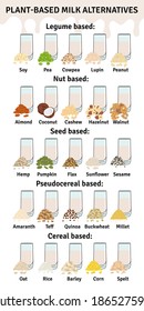 Set of glasses with plant-based milk. Vegan milk types infographic. Almond, soy, rice, coconut, cashew, hazelnut, oat, flax, walnut, hemp, pea milk. Milk alternatives. Hand drawn vector illustration.