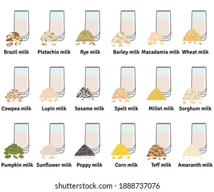 Set of glasses with plant-based milk. Vegan milk in glass. Pistachio, pumpkin and sunflower seeds, amaranth, corn, macadamia, sesame milk. Milk alternatives. Hand drawn vector illustration.