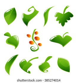 Set of glossy green leaves and sprouts vector illustration