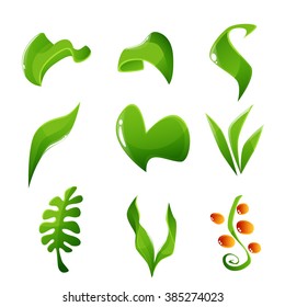 Set of glossy green leaves and sprouts vector illustration