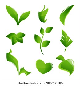 Set of glossy green leaves vector illustration