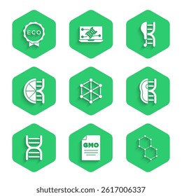 Set GMO, Chemical formula, Genetically modified meat, DNA symbol, orange, chicken and Label eco healthy food icon. Vector