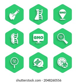 Indique el GMO, el símbolo del ADN, el naranja modificado genéticamente, el biohazard y el vidrio de aumento, la carne y el icono de manzana. Vector