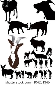 set goat isolated on a white background