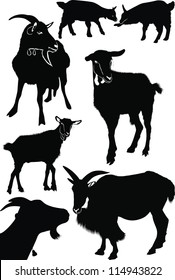 set goat isolated on white background 
