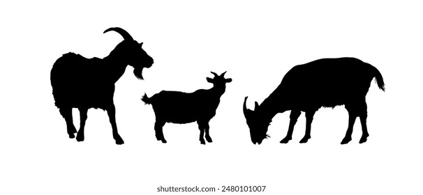 set of goat silhouettes - vector illustration	