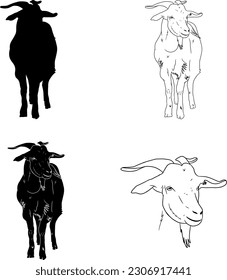 Set of goat vektor silhouettes, line head goat on isolated layer illustrations