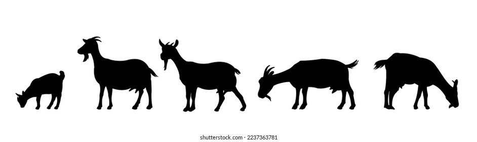 Set of Goats grazing on pasture. Picture silhouette. Farm pets. Animals for milk and dairy products. Isolated on white background. Vector